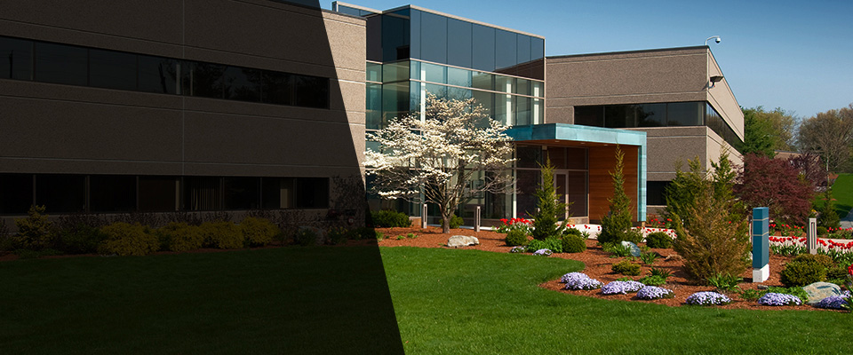 Carnation Landscapers