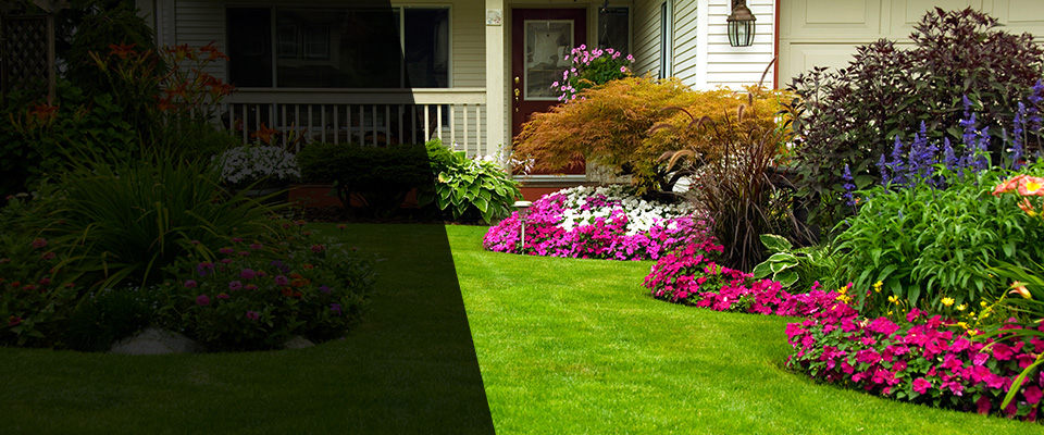 Carnation Landscapers
