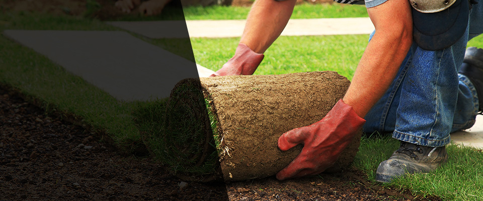 Carnation Landscapers